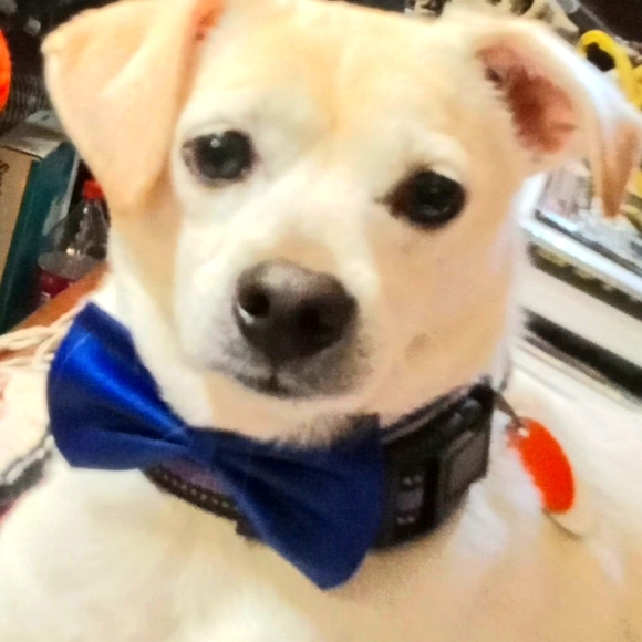 ๐ค(FLAME65)for$10 off first order - Picture 3 of 8